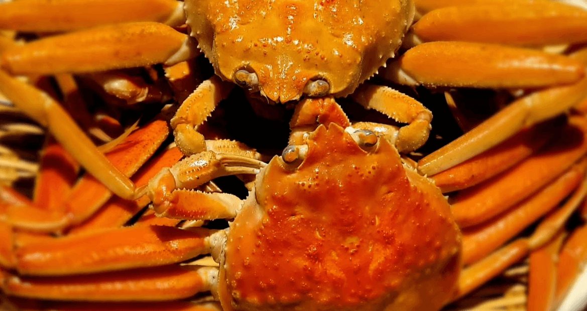 北陸の厳選素材ズワイカニ