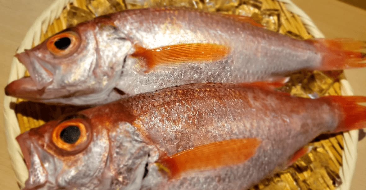 北陸の厳選素材のどぐろ